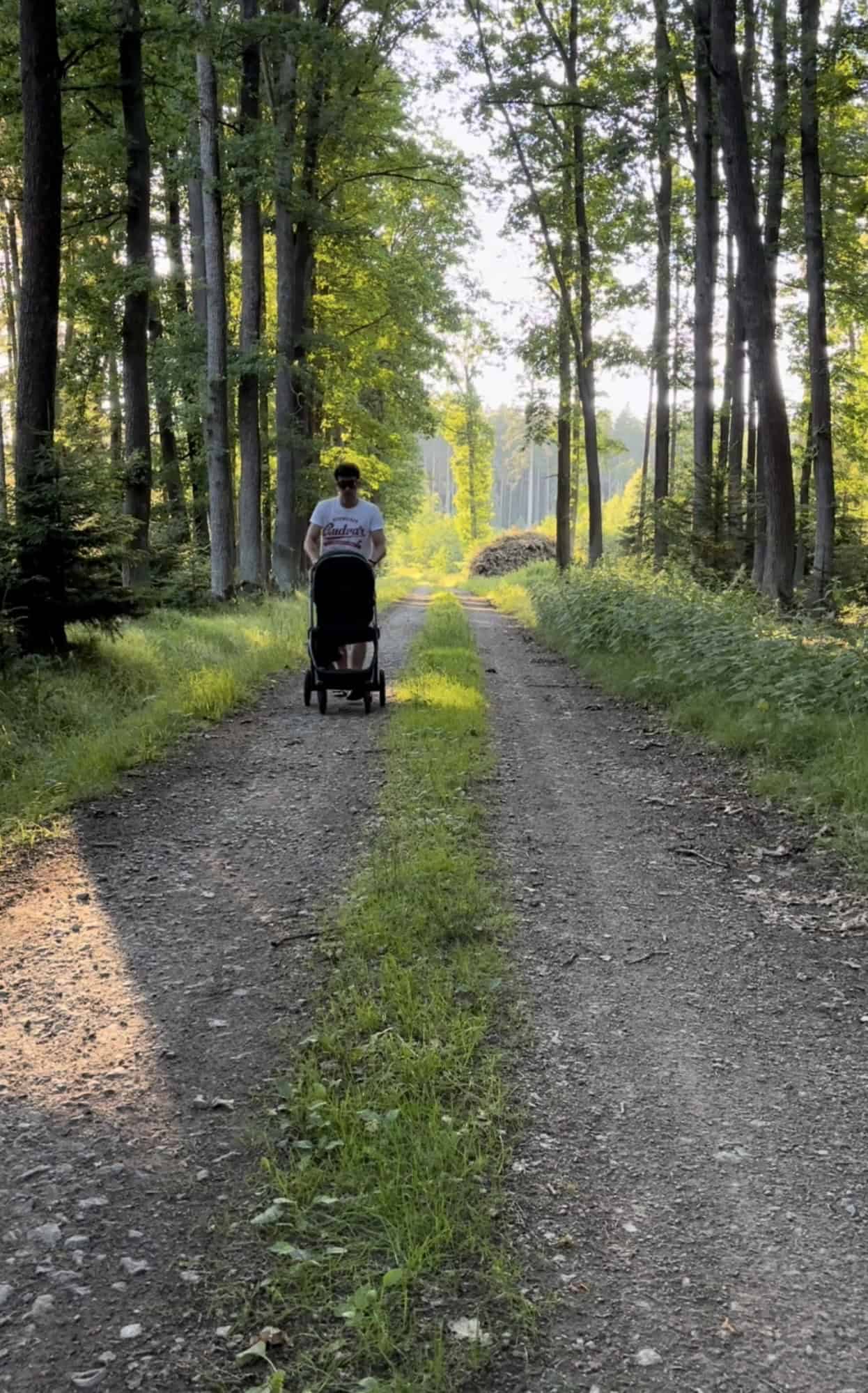 Krátký výlet nedaleko Českých Budějovic