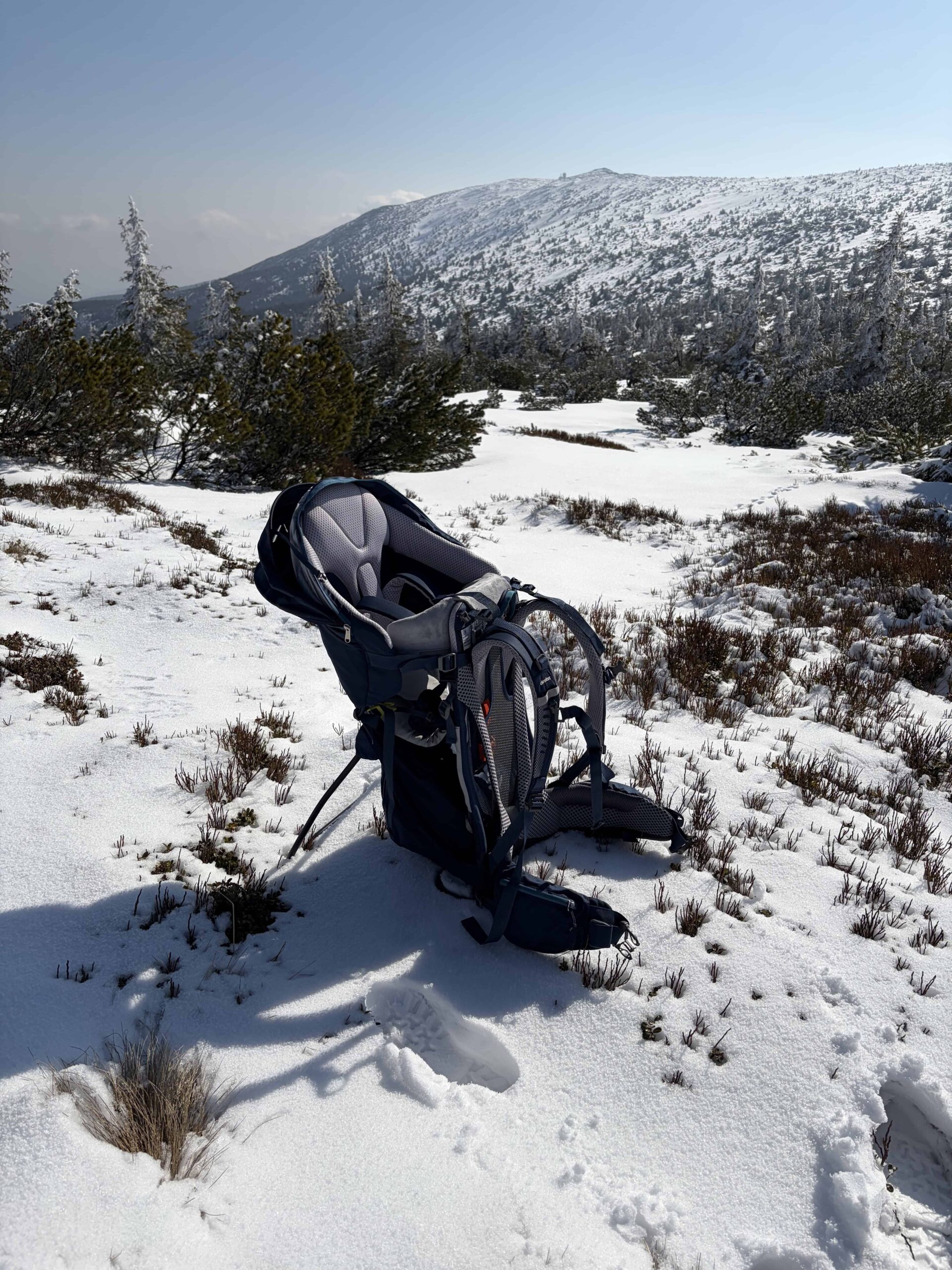 Deuter Kid Comfort Pro