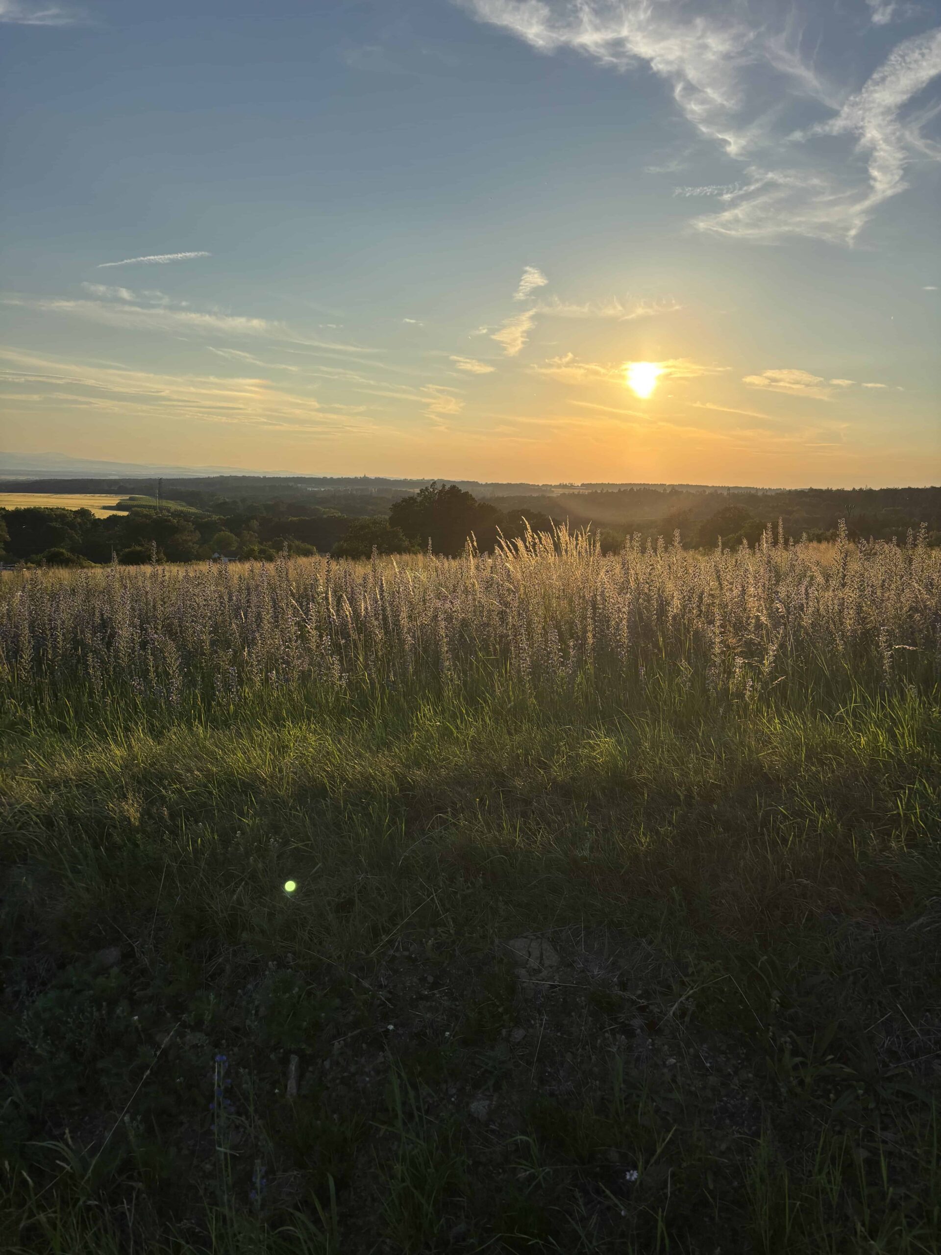 západ slunce nad loukou s výhledem na České Budějovice a Šumavu